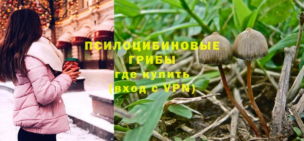 каннабис Алексин