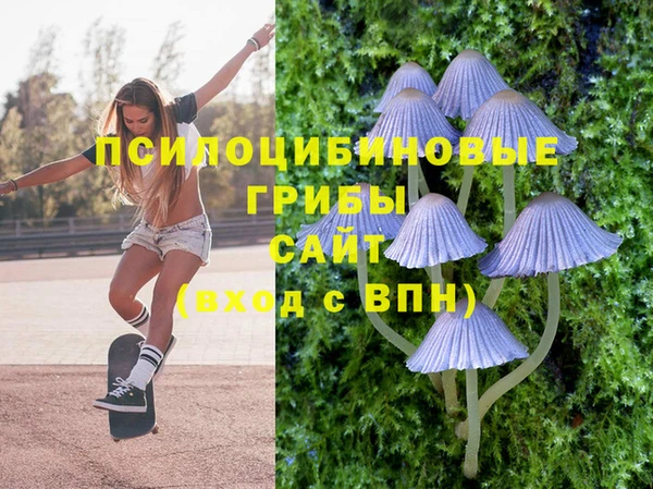 каннабис Алексин